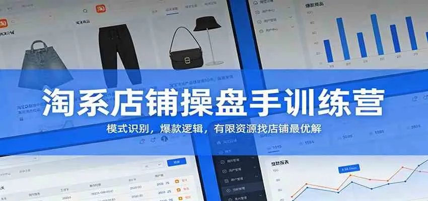 淘系店铺操盘手训练营：模式识别，爆款逻辑，有限资源找店铺最优解-温久网络