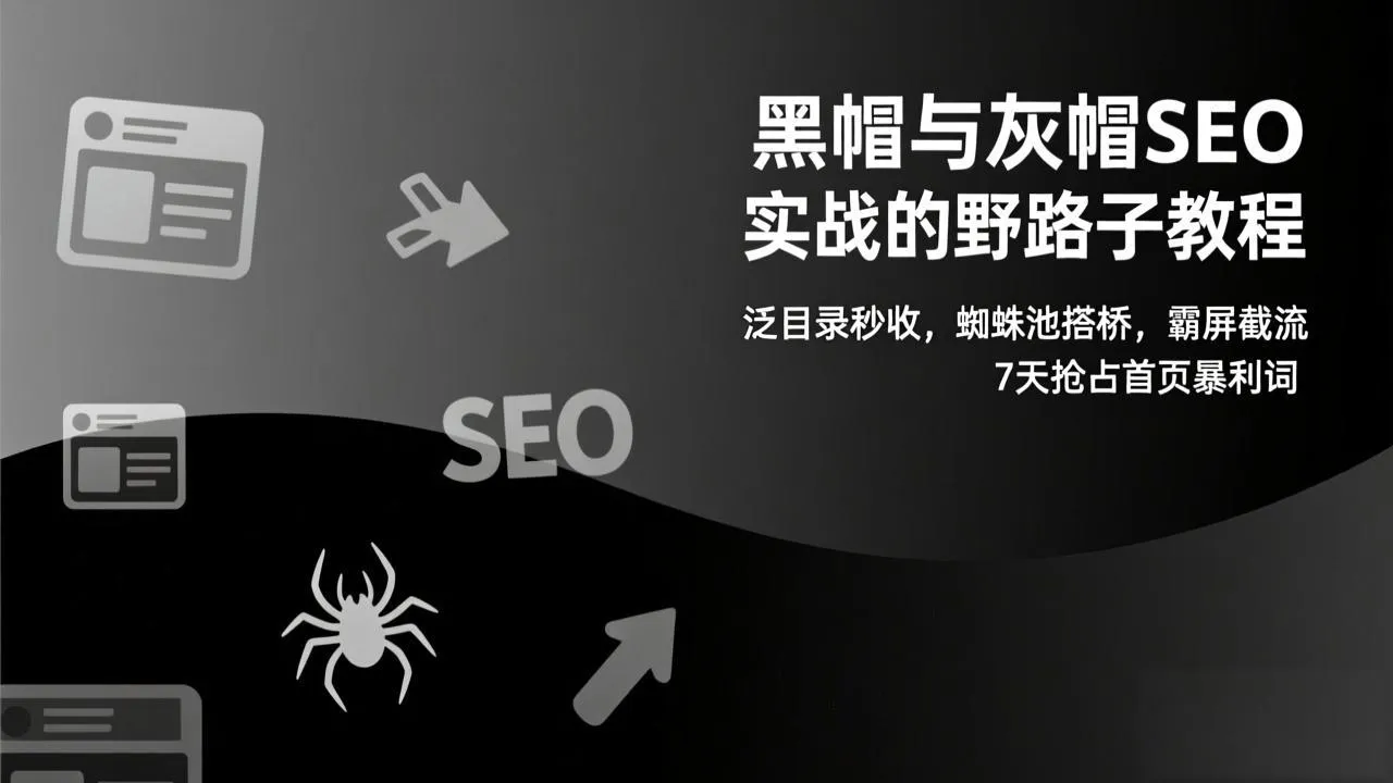 黑帽与灰帽SEO实战的野路子教程：泛目录秒收，蜘蛛池搭桥，霸屏截流，7天抢占首页暴利词-温久网络
