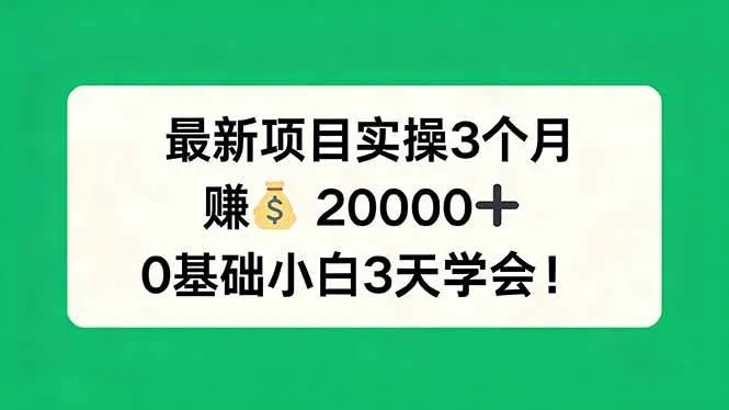 （17856期）最新项目实操3个月，赚钱20000+，0基础小白3天学会！-温久网络
