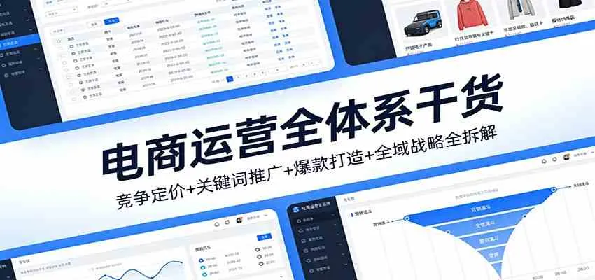 电商运营全体系干货，竞争定价+关键词推广+爆款打造+全域战略全拆解-温久网络