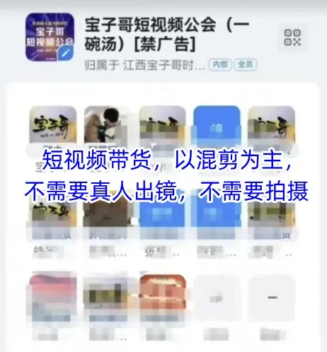 宝子哥头部团队短视频带货，以混剪为主，不需要真人出镜，不需要拍摄【更新26年3月】-温久网络