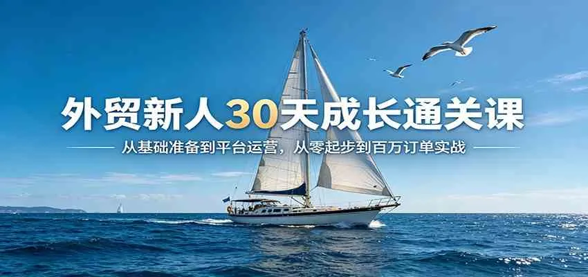 外贸新人30天成长通关课：从基础准备到平台运营，从零起步到百万订单实战-温久网络