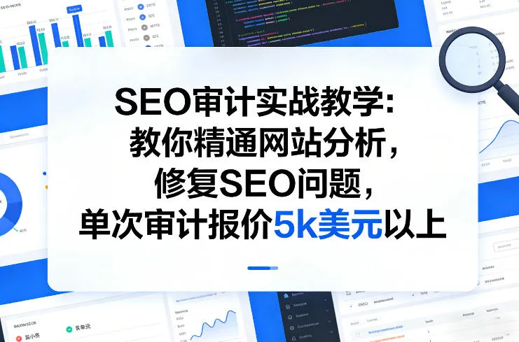 SEO审计实战教学：教你精通网站分析，修复SEO问题，单次审计报价5k美元以上-温久网络