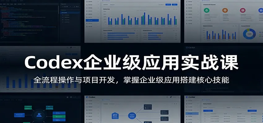 Codex企业级应用实战课：全流程操作与项目开发，掌握企业级应用搭建核心技能-温久网络