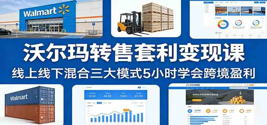 沃尔玛转售套利变现课：线上线下混合三大模式5小时学会跨境盈利-温久网络