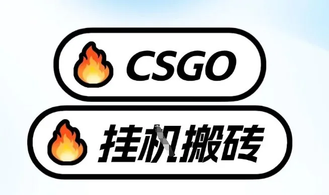 真全网独家CSGO挂G，最新玩法,单日捡漏1K+，不用电脑，不用打游戏【揭秘】-温久网络