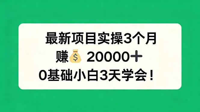 最新项目实操3个月，赚钱20000+，0基础小白3天学会！-温久网络